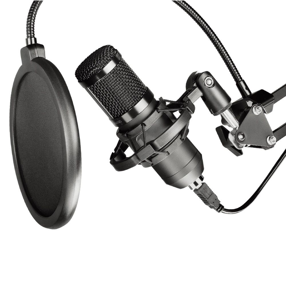 Condenser Microphone Art on a boom arm with membrane AC-03 black