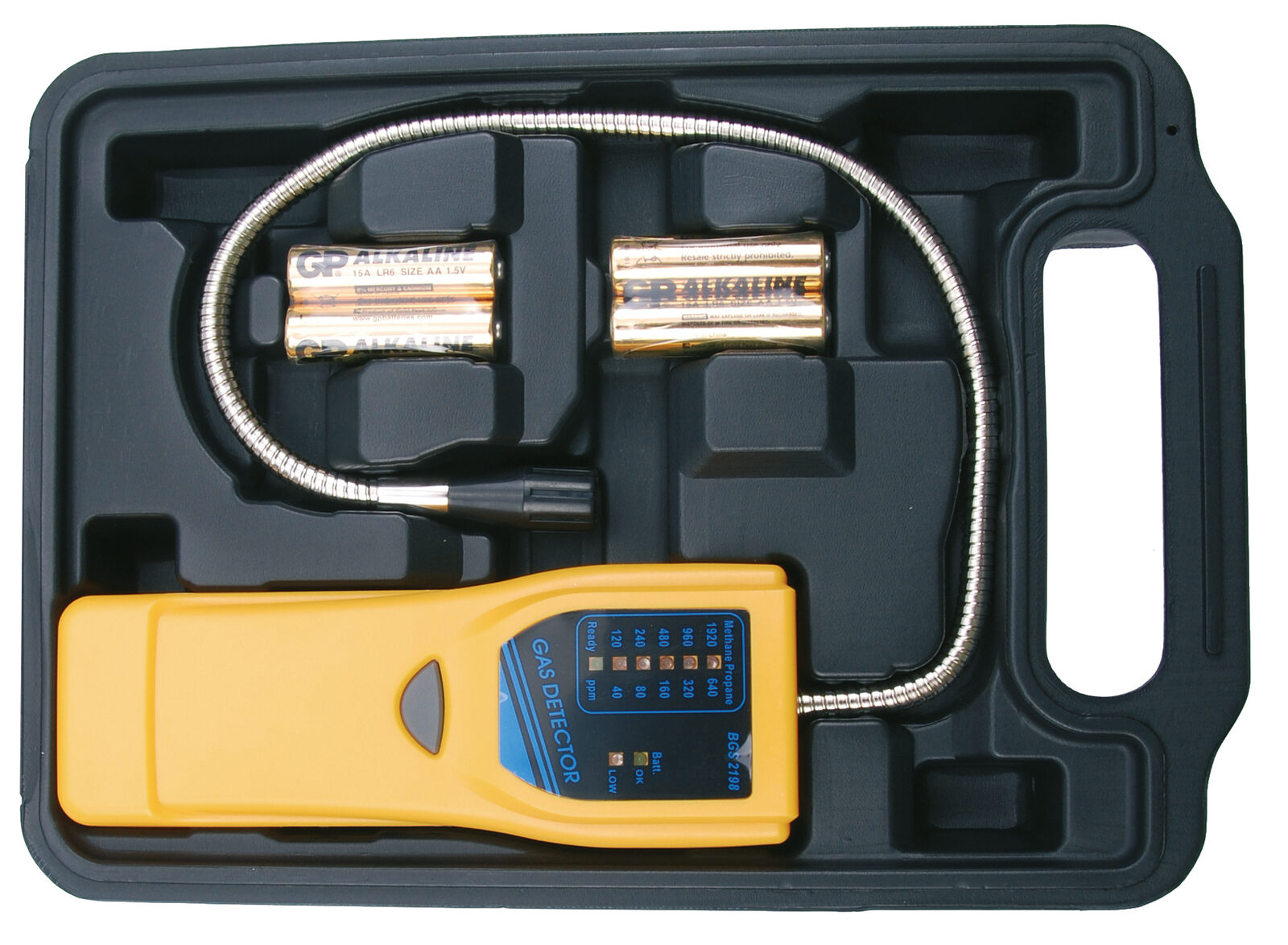 BGS technic Gas Detector